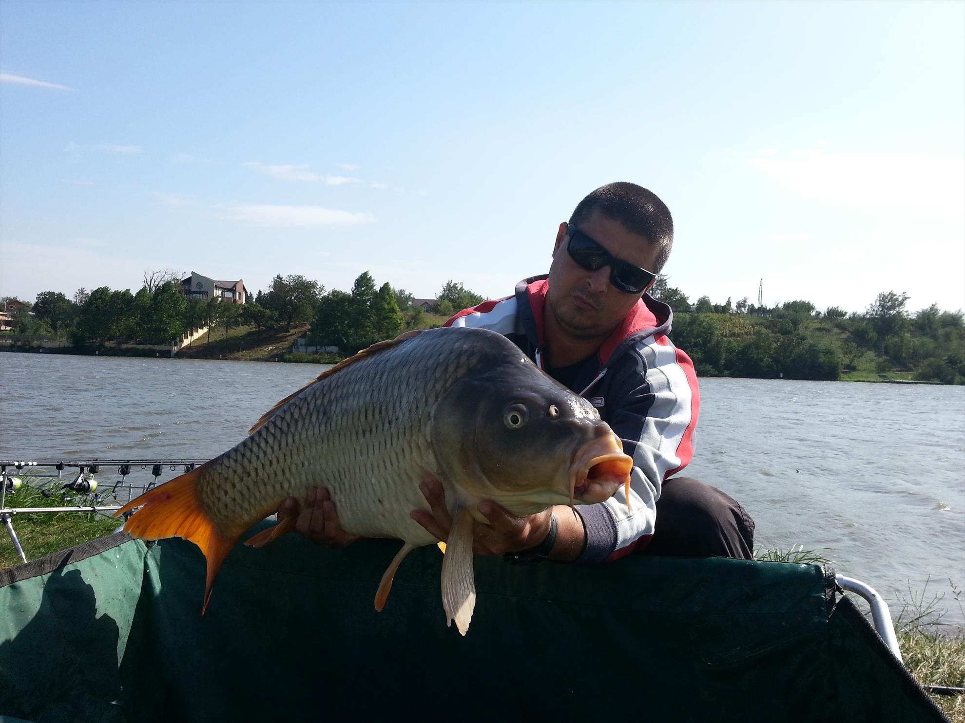 Moara Vlasiei 2 5 septembrie 2014 - 20140905153253.jpg